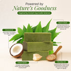 Neem Basil Fusion pack  of 3 bundle