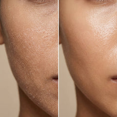 Divine Rose pack of 3 bundle